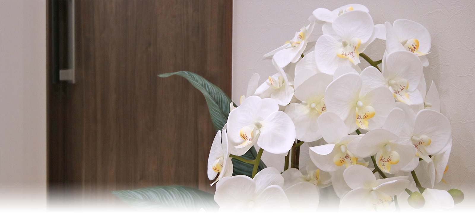 にっとのクリニック 小児科・内科・アレルギー科・眼科・歯科 東京都目黒区 原町 西小山駅