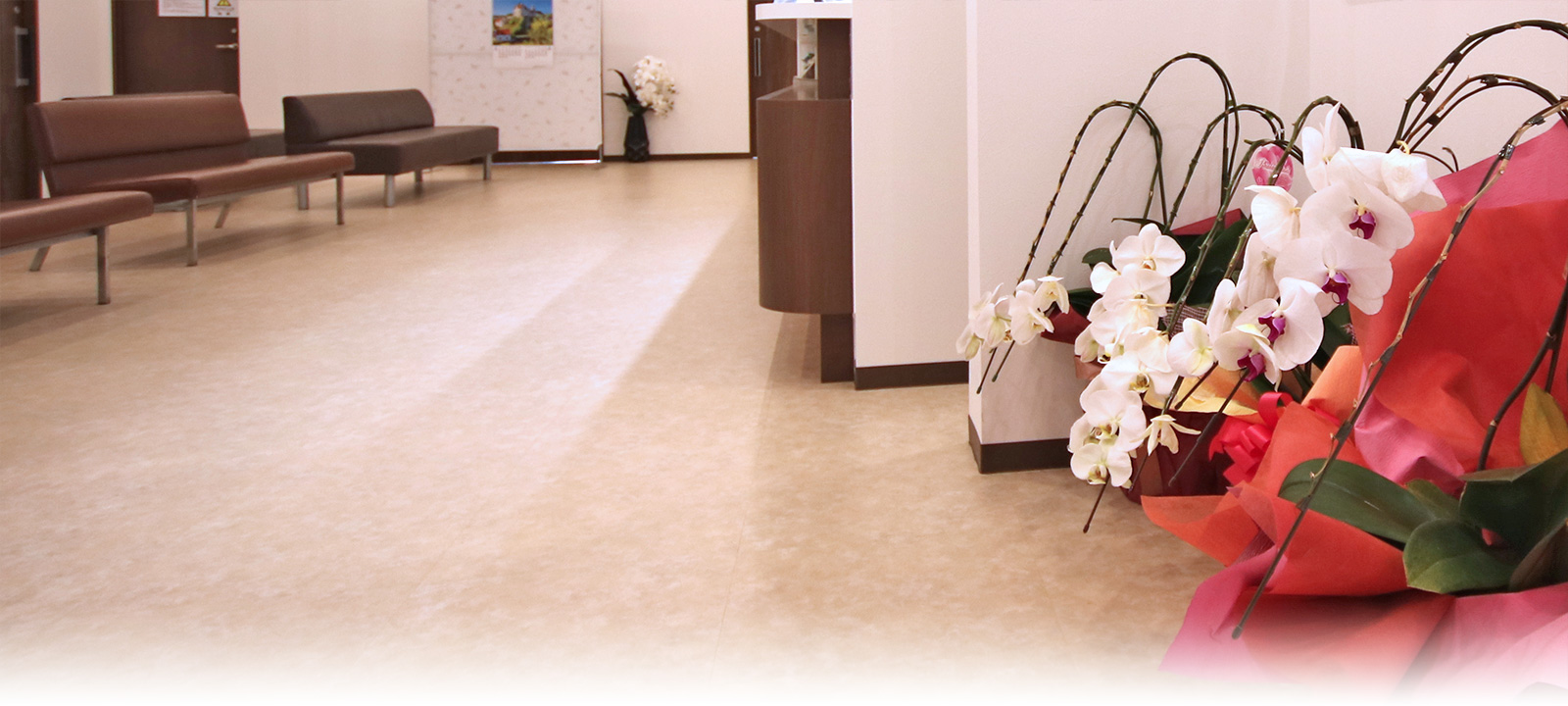 にっとのクリニック 小児科・内科・アレルギー科・眼科・歯科 東京都目黒区 原町 西小山駅